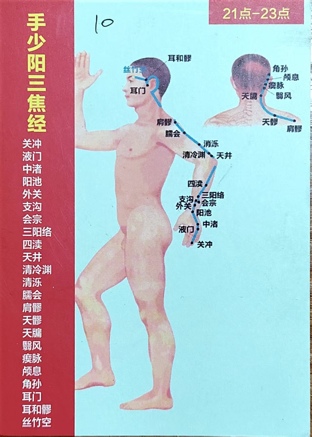 手少阳三焦经循行图