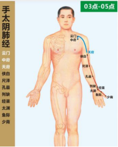 肺经循行图
